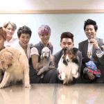 [EXO] 적당히해