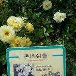 [<b>돌체</b>] 아 진짜 30판에서 싸우고 욕하는 사람들 진짜