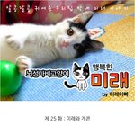 뇌성마비고양이 미래 #25 <b>개콘</b>본다!