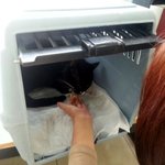 <b>임</b><b>보</b>엄마를 만났어요...[신이]