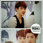 [exo] <b>야이</b>씨벌창년들아