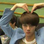 [EXO] 엑소 싹다내꺼