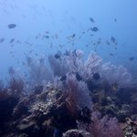 바닷속 세상의 매력! 을 소개합니다^^