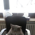 [미대언니] (살짝 19금?) 누드 드로잉 수업 일화