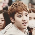 [EXO] 디오 이거 삼동이 같음