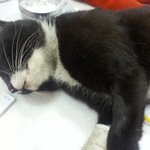 죽을힘을 다해 걸었어요...살고싶어서...