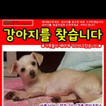강서구 염창동 벽산아파트 <b>인근</b>사시는분들 제발좀ㅠ