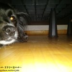 [쁜이] 녀석은 새 삶을 살 수 있을까요? 10편