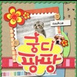 [해석왕] 클로이x2가 <b>애용</b>하는 앱