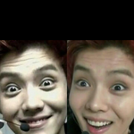[EXO] 잠깐왔듬ㅇㅅㅇ