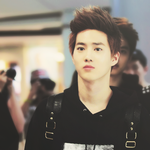 [EXO] 엑소케이 멤버들 동물에 비유(<b>대략적</b>인 성격분석)