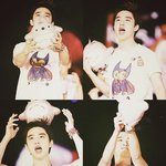[EXO] 토토로 <b>인형</b> 득한 디오