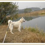 [EXO] 지금 실검 뭐냐!! 시우민.<b>jpg</b>