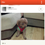 생각하는게썩은 맘ㄷ