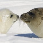 시어머니 욕하지마세요.