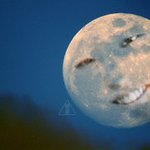 [BAP] 들어와바 <b>소원</b>이뤄준다 ㅇㅇ