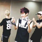 [EXO] 메리미 사생이 녹음한거라며