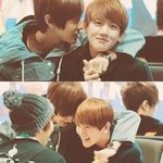 [exo] <b>변백현</b>멍뭉이같은사진