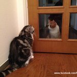 [한글이] 세종대왕이 대신쓰는 유봉이네판 2탄