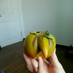 <b>녀성</b>부를 자극할수 있는 사진