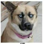 [웃기는<b>사진</b>] 회사가아주개판이네.<b>jpg</b>