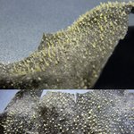 [EXO] 헐 이게 marry <b>me</b>임??