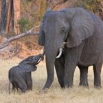 [해석왕] <b>재촉</b>하는 꼬맹이