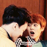 [EXO] ㅋㅋㅋㅋㅋㅋㅋㅋㅋㅋㅋ시우민진짜깜짝잘놀란다ㅏ..