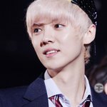 [EXO] 미안한데 왜싸우는지 모르겠으니까 짤털이...