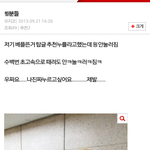 [<b>BB</b>라인] 비비씨분들 왤케기여워여