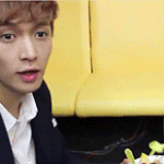 [EXO] 레이가 최애이신팬분들 @.@