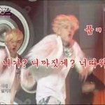 [BAP] 관<b>종들</b>아