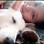 [희망이네] 원룸에서 <b>공생</b>하는 인간과 동물 5탄!!