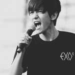 [EXO] 변백현아기<b>늑대</b>같은고화질