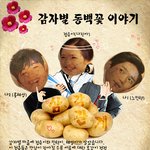 [감자별] <b>동백꽃</b> 감자에 얽힌 사랑이야기