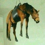 [틴탑] 야 <b>니</b>네들 내 <b>말</b>좀 들어봐