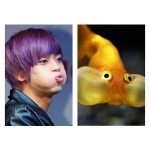 [틴탑] 누가이미 <b>니엘</b>닮은꼴 찾았네....
