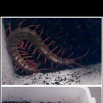 [exo] 예거밤 정리+<b>합석</b> ㄴㄴ