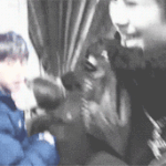 [<b>BB</b>라인] 비에이피너므좋아염 비스트?비투비?ㅋ