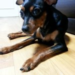 [완두콩이] <b>한지붕</b>세여인네들이 왔어요~