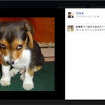 [exo] 안<b>여울</b> 페북