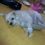 다쓴 키친<b>타올</b> 재사용 방법