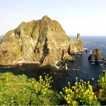 <b>독도</b>의 날을 국경일로 만들자!