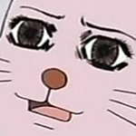 [야생고양이] 우리집 야생 고양이 - 키티 잠방 <b>발</b>쏴!