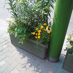 환절기알레르기..학교수업듣기 <b>민망</b>함 ㅠㅠ