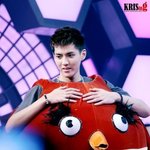 [EXO] 앵크리스<b>버드</b>... 