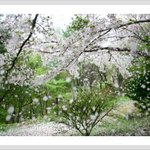 [정명석 목사님의 1분 묵상] <b>일부</b>만