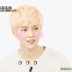 [EXO] 루한이최애이신분들없죠?