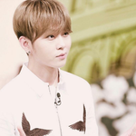 [비스트] 뷰티에서 <b>삽질</b>을 담당하고 있는 두림걸 입니다