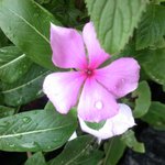 오늘은 정말 억울한 일로 노크합니다.-<b>jms</b>